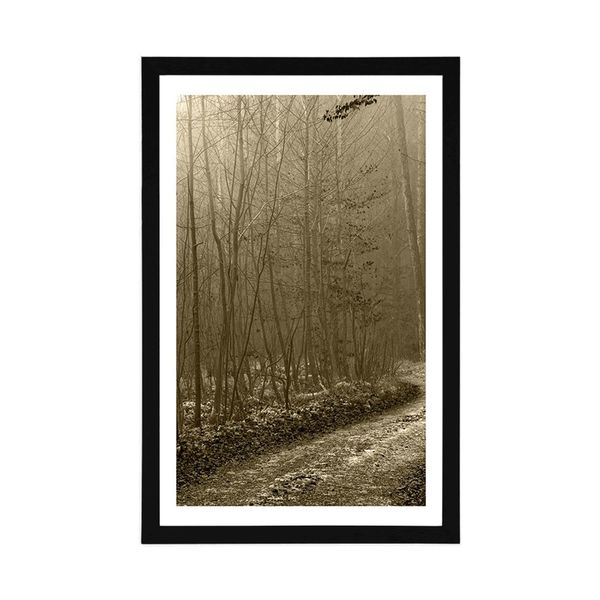 Plagát s paspartou sépiová cestička do lesa - 60x90 white