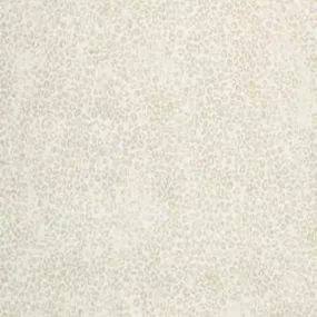 Luxusní koberce Osta Kusový koberec Piazzo 12268 100 - 240x330 cm