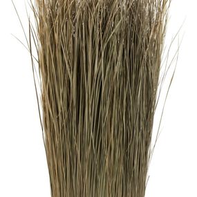 Prírodná sušená tráva na podstavci Dried - 30*10*90 cm