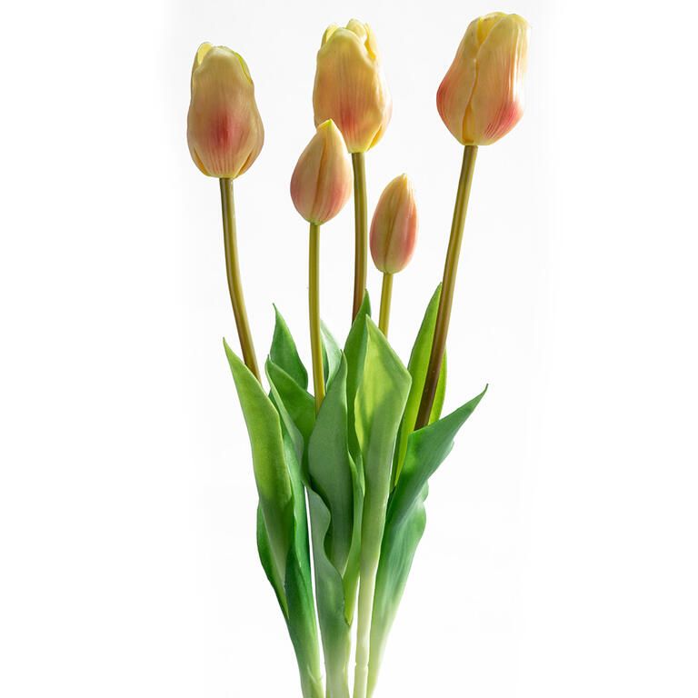 Zväzok TULIPÁNY svetložlté 46 cm, 5 ks