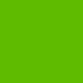 KT0908-643 Samolepiace fólie d-c-fix samolepiaca tapeta lesklá zelená, veľkosť 67,5 cm x 2 m