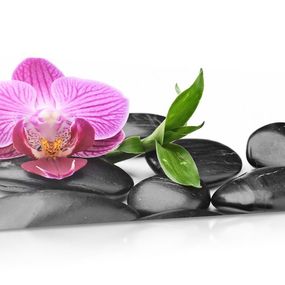 Obraz orchidea a masážne wellness kamene - 120x60