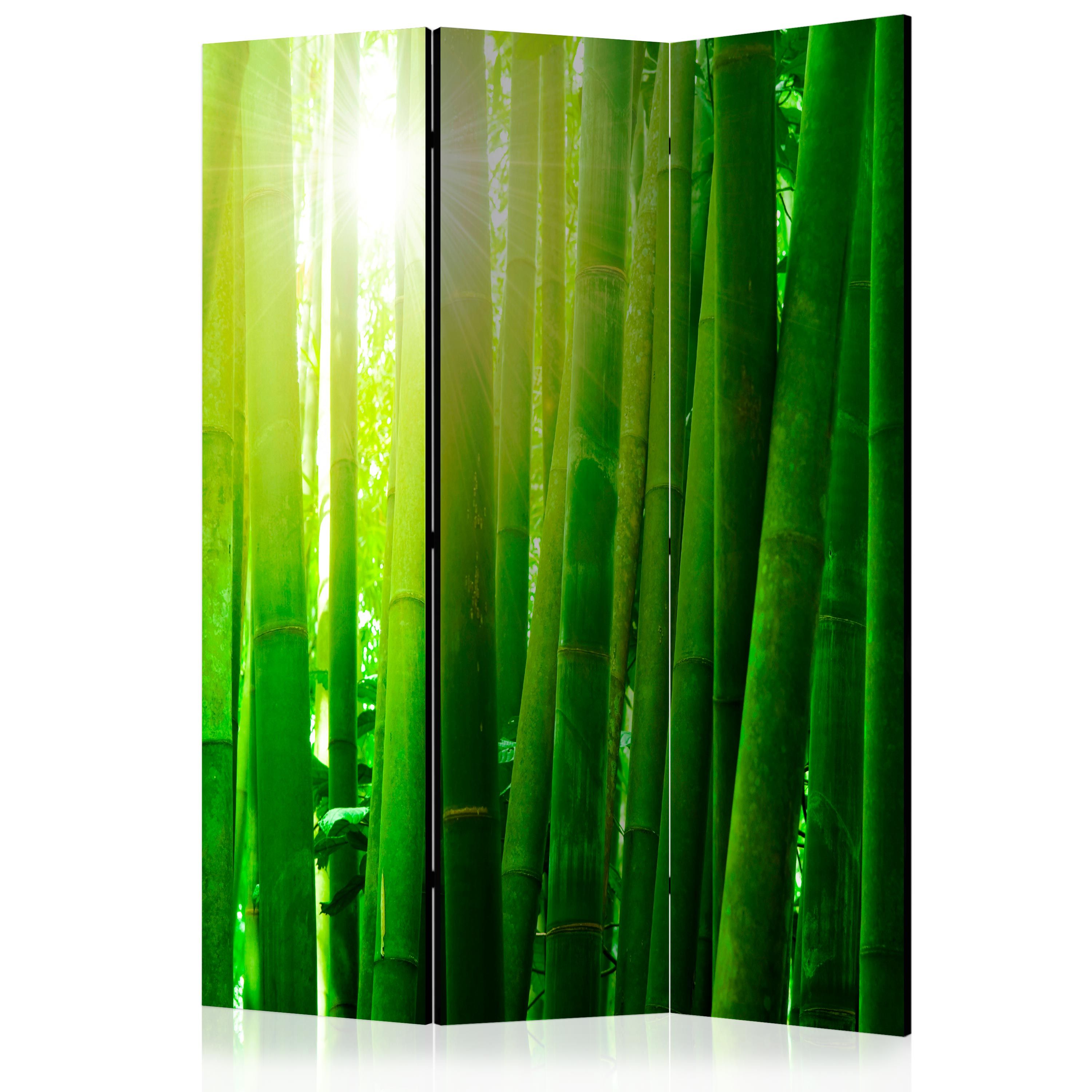 Artgeist Paraván - Sun and bamboo [Room Dividers]