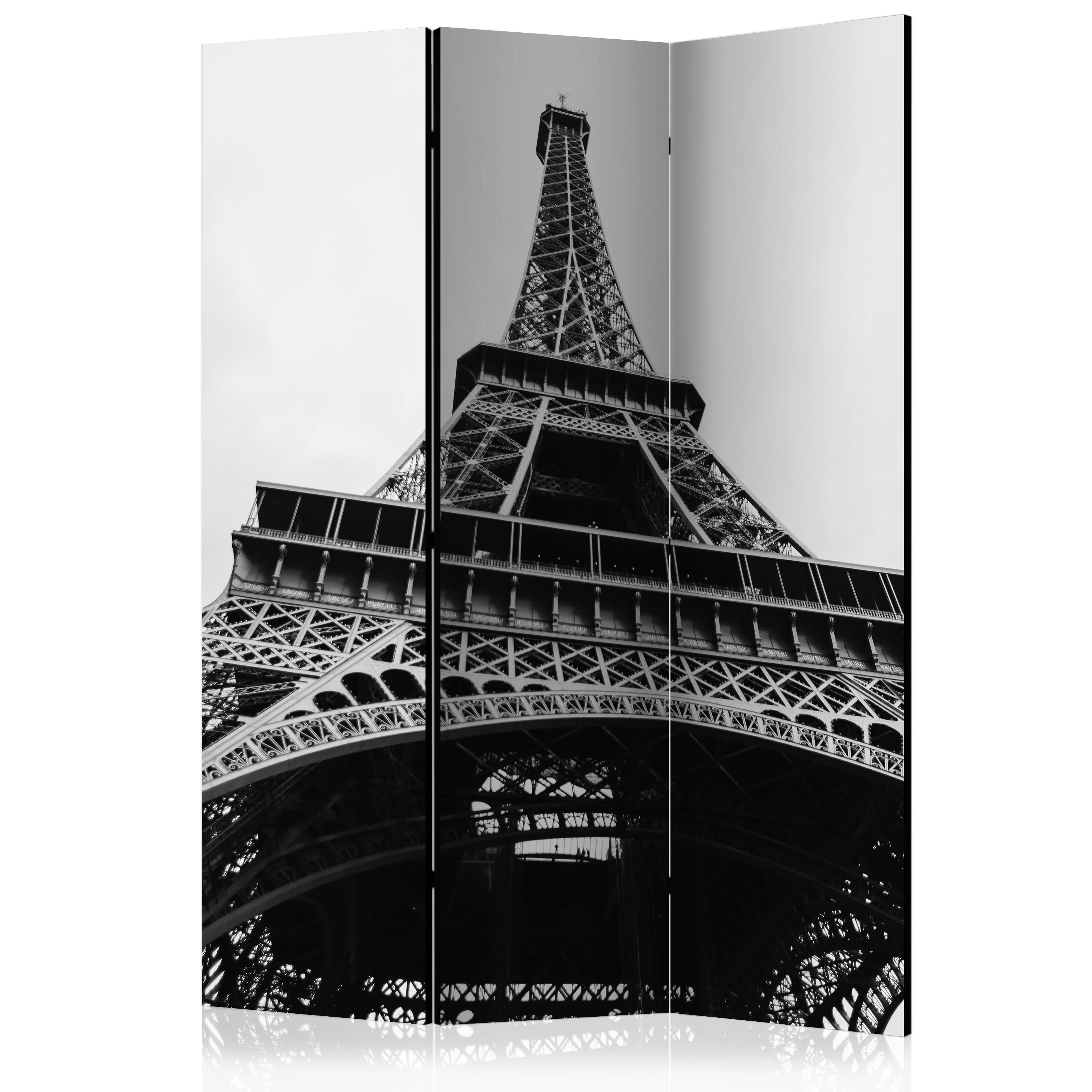 Artgeist Paraván - Paris Giant [Room Dividers]