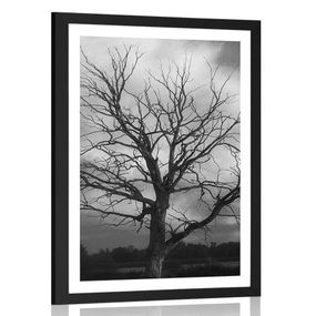 Plagát s paspartou čiernobiely strom na lúke - 60x90 black