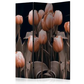 Artgeist Paraván - Ladies among the flowers [Room Dividers]