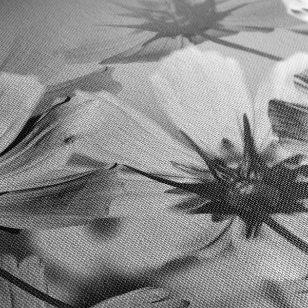 Obraz záhradné kvety v čiernobielom prevedení - 120x60