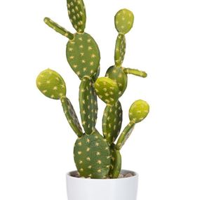 Okrasný kaktus v kvetináči - 18 * 14 * 53cm
