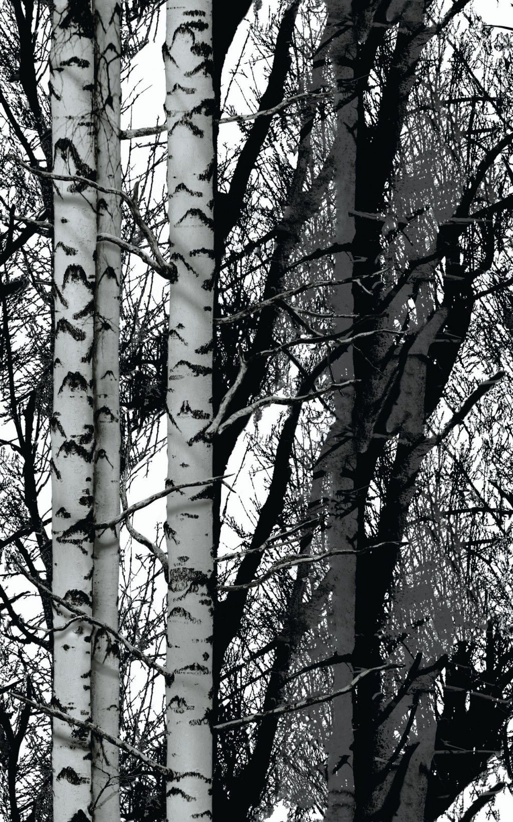 200-3197 Samolepiaca tapeta fólia dc-fix brezy šírky 45 cm