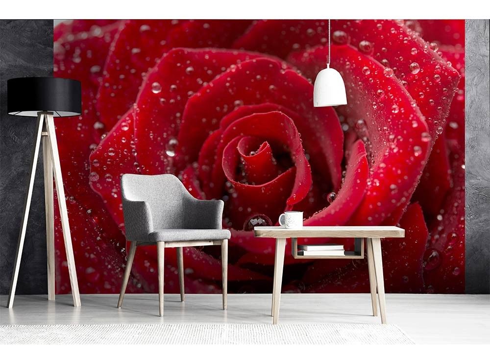 MS-5-0138 Vliesová obrazová fototapeta Red  Roses, veľkosť 375 x 250 cm