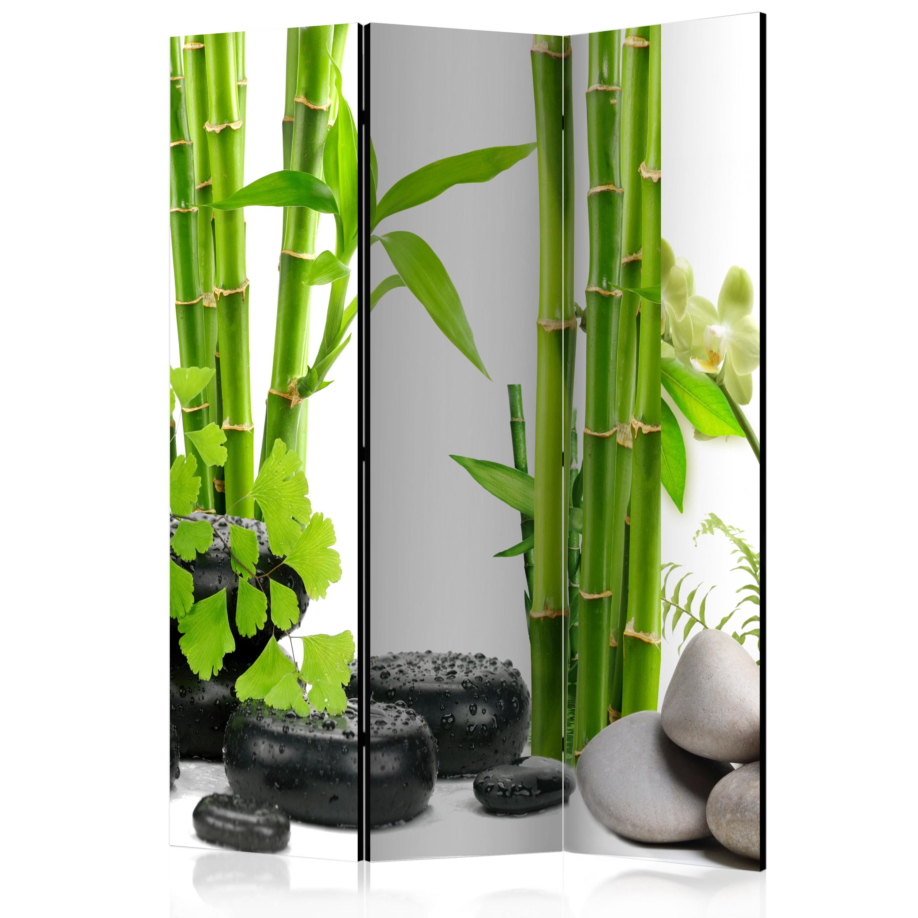 Artgeist Paraván - Bamboos and Stones [Room Dividers]