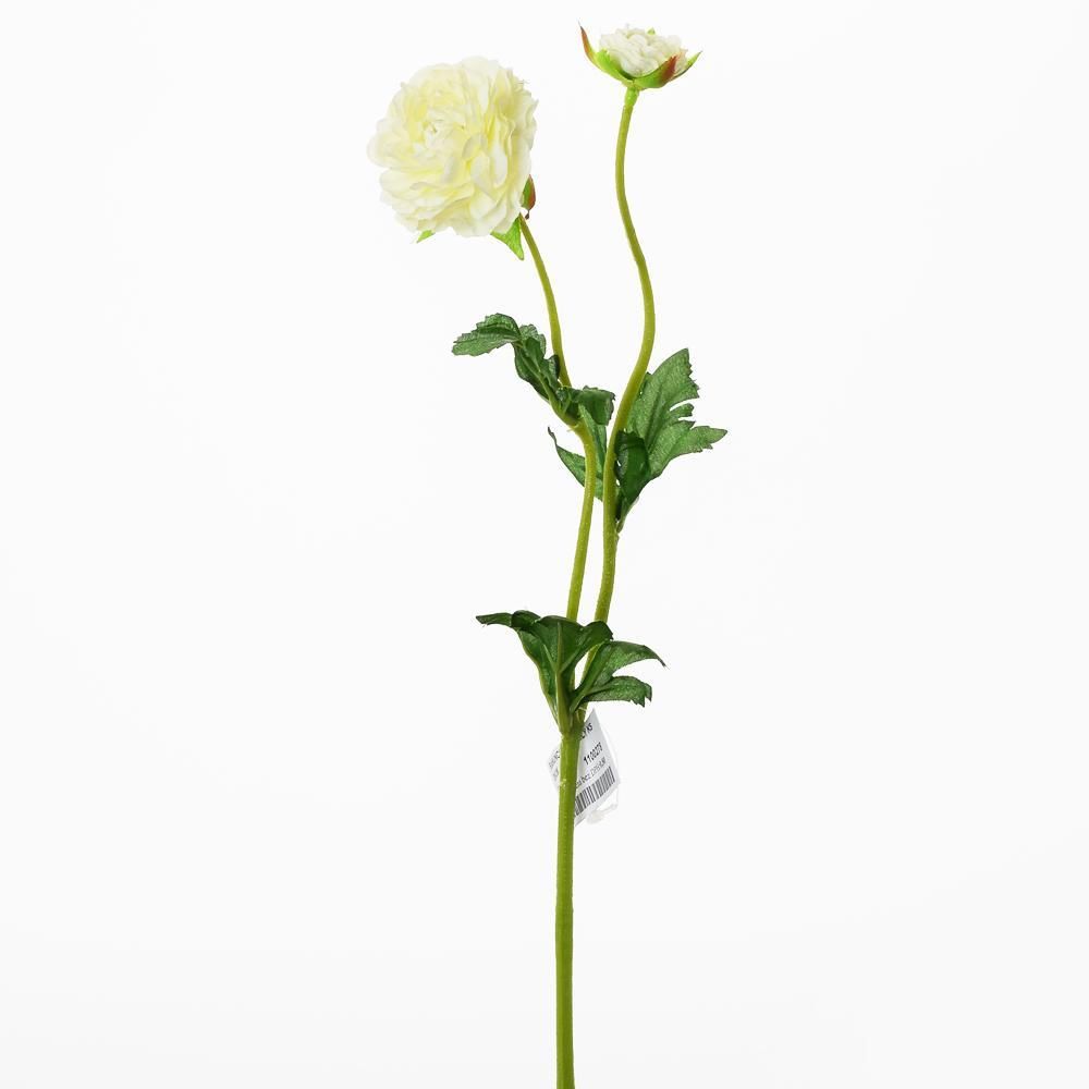 Ranunculus biely kus 39cm 1100278