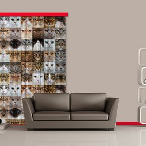 FCS L 7567 AG Design textilný foto záves obrazový Cats - Mačky FCSL 7567, veľkosť 140 x 245 cm