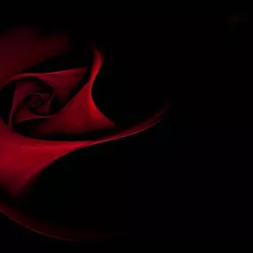 Tapeta s kvetmi - Červená ruža 106 - vinylová