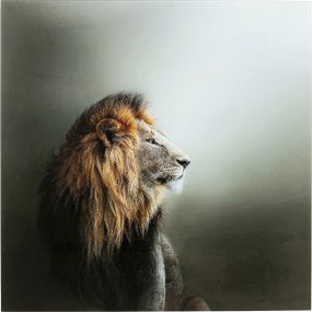 KARE Design Skleněný obraz Lion King 100x100cm
