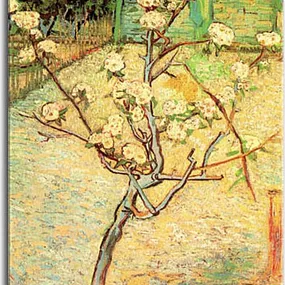 Vincent van Gogh - Pear Tree in Blossom Obraz zs18381