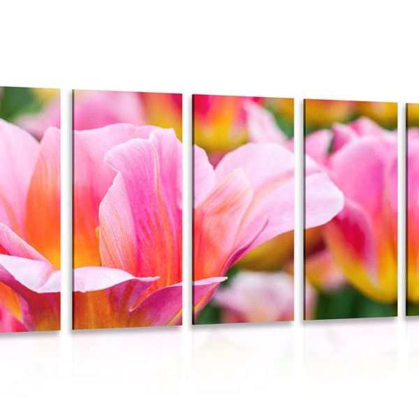 5-dielny obraz lúka ružových tulipánov - 200x100
