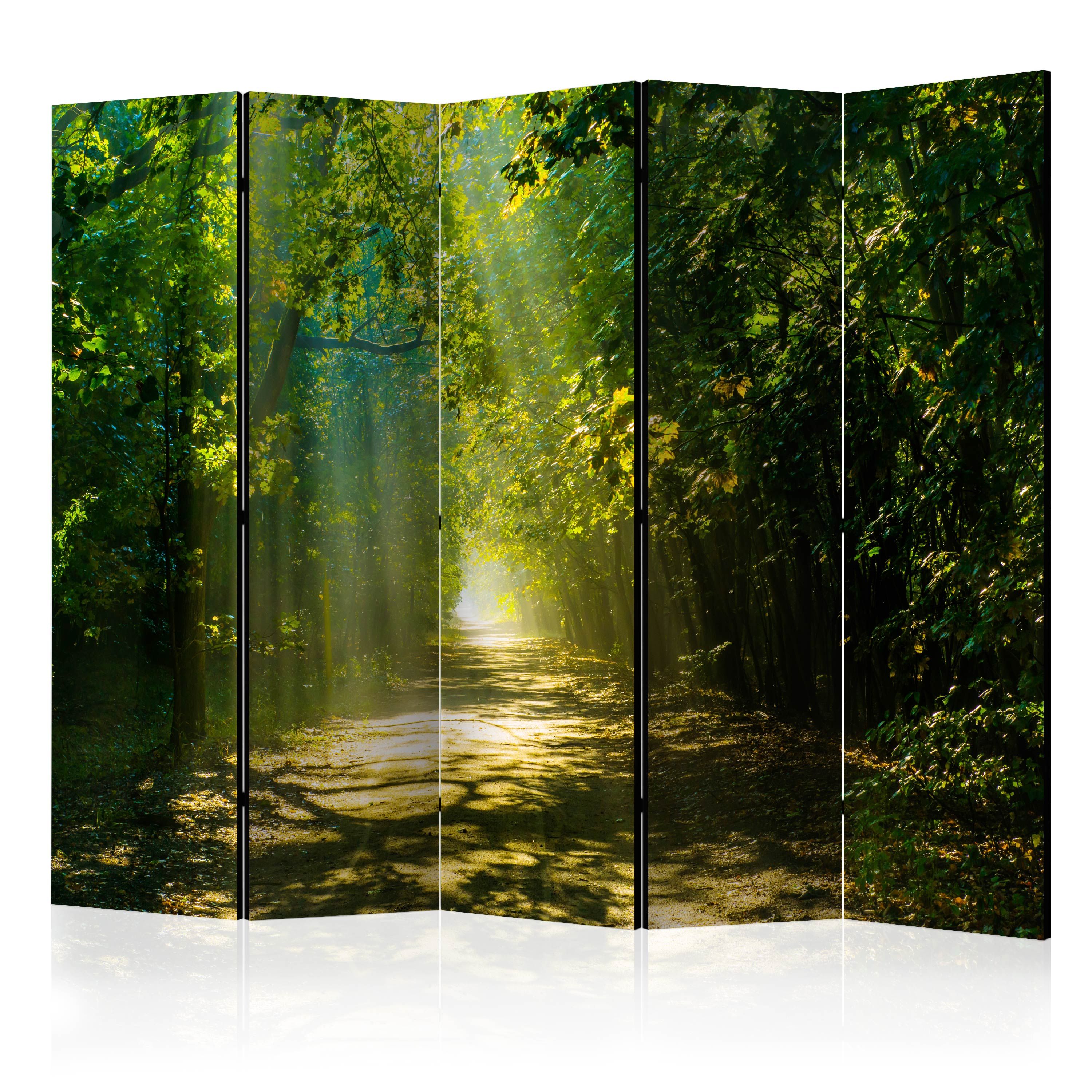 Artgeist Paraván - Road in Sunlight II [Room Dividers]