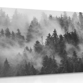 Obraz hory v hmle v čiernobielom prevedení