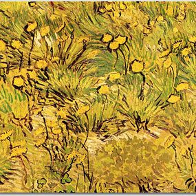 Reprodukcie Vincent van Gogh - A Field of Yellow Flowers zs18369