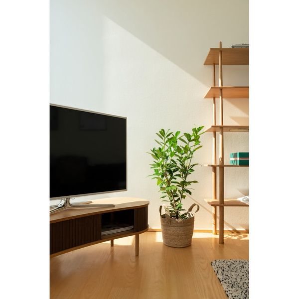 TV stolík v dekore duba v hnedo-prírodnej farbe 140x40 cm Audacious – UMAGE