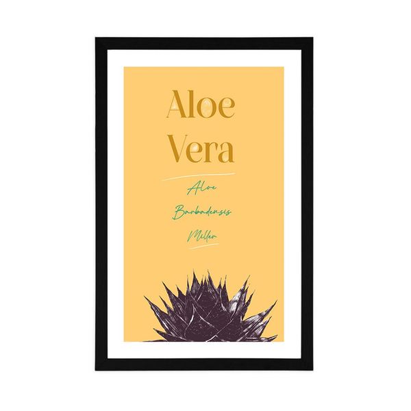 Plagát s paspartou a štýlovým nápisom Aloe Vera - 60x90 silver