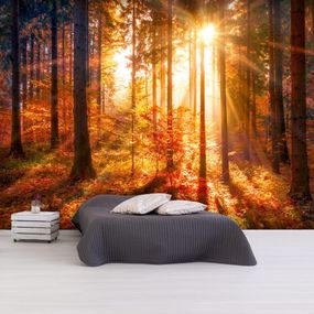 Samolepiaca tapeta les na jeseň - Autumnal Time - 294x210