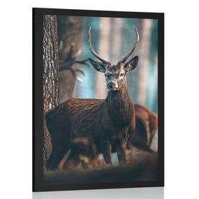 Plagát jeleň v lese - 40x60 black