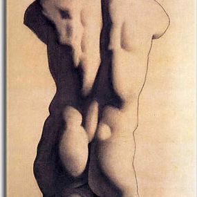Picasso  Reprodukcia - Plaster male torso zs17931