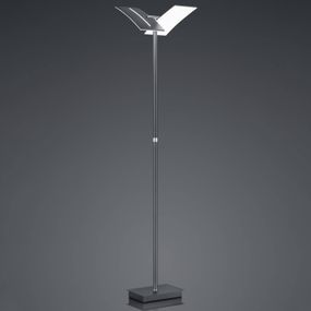 HELL Stojaca LED lampa Dual s vypínačom, železo, 192 cm, Obývacia izba / jedáleň, železo, 41W, K: 182cm