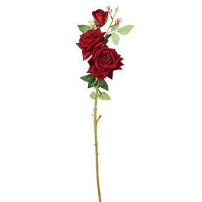 Ruža kus červená 202312