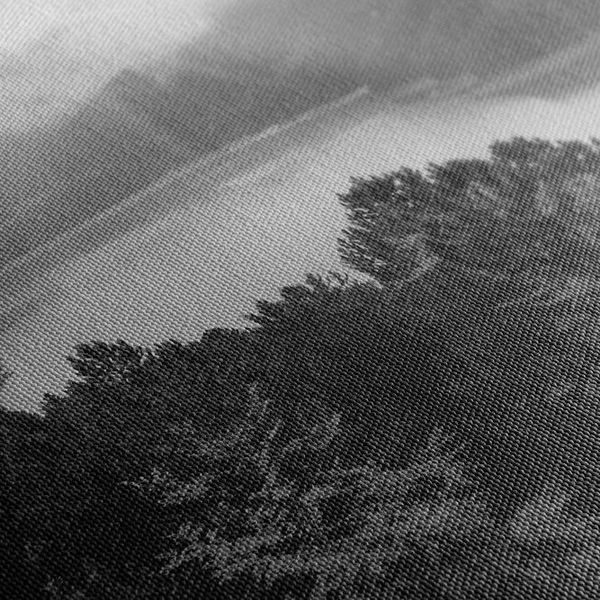 Obraz rieka uprostred lesa v čiernobielom prevedení