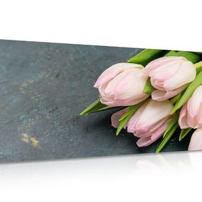 Obraz pastelovo ružové tulipány - 120x60
