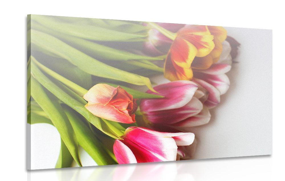 Obraz kytica tulipánov v pestrých farbách