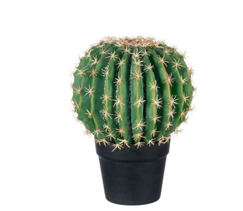 Kaktus v kvetináči medium - Ø 25*33cm