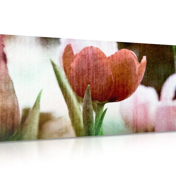 Obraz červený retro tulipán - 120x60