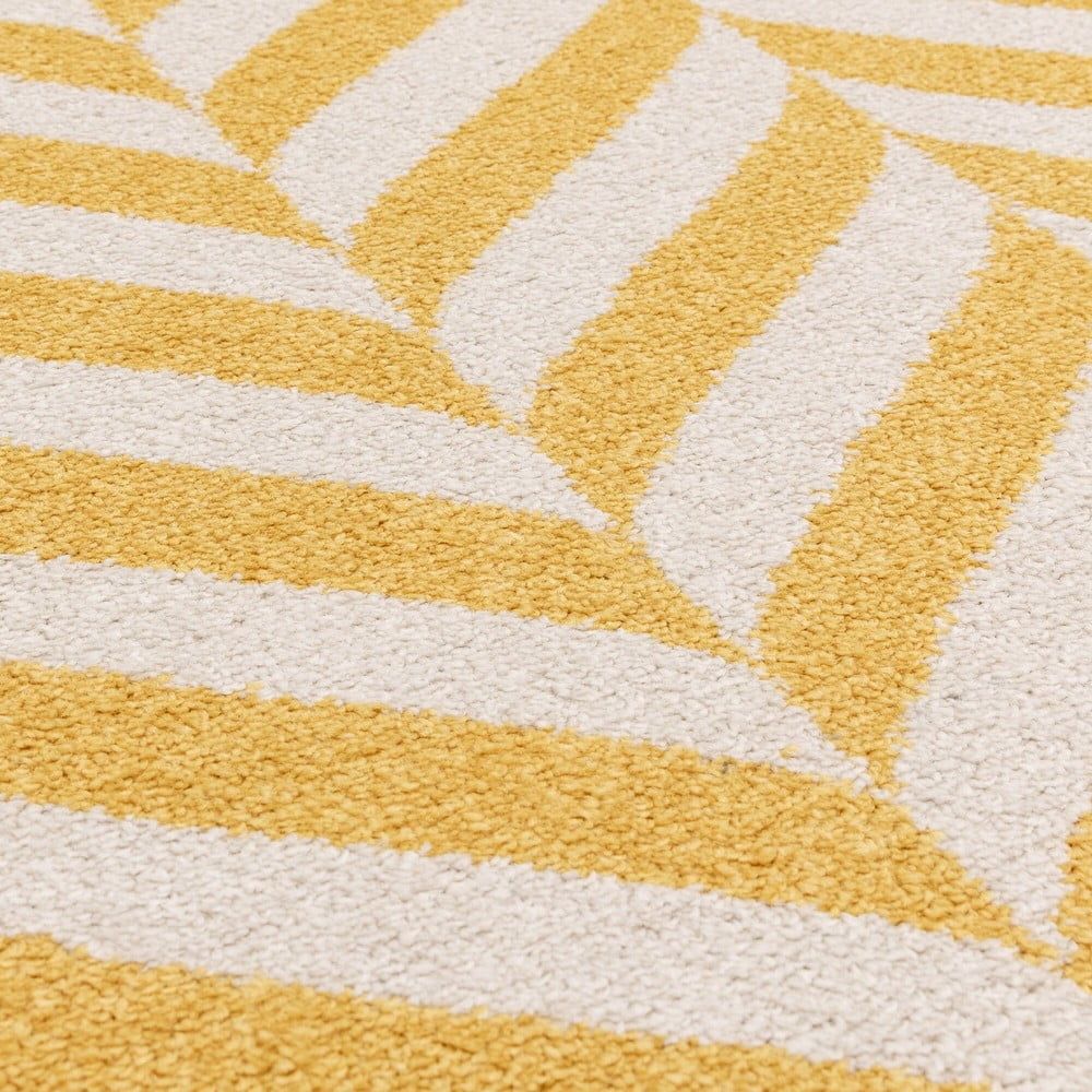 Žltý koberec 170x120 cm Muse - Asiatic Carpets