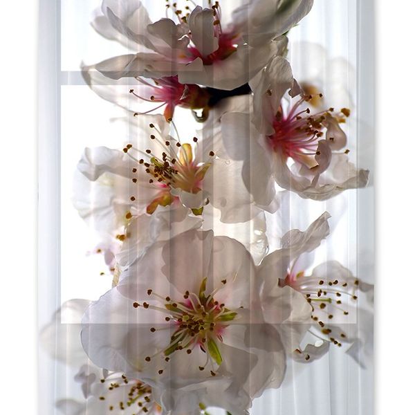 FCS L 7506 AG Design textilný foto záves obrazový Flowers - kvety FCSL 7506, veľkosť 140 x 245 cm