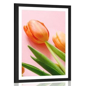 Plagát s paspartou elegantný tulipán - 40x60 black