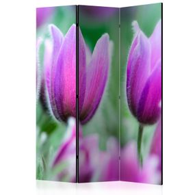 Artgeist Paraván - Purple spring tulips [Room Dividers]