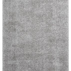 Obsession koberce AKCE: 160x230 cm Kusový koberec Emilia 250 silver - 160x230 cm