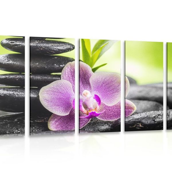5-dielny obraz tropická Zen kompozícia - 200x100