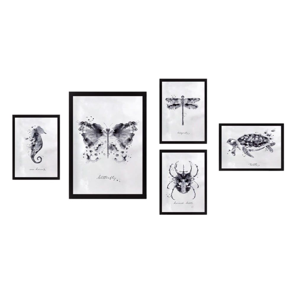 Obrazy v súprave 5 ks Butterfly – Wallity