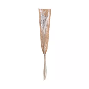 Butlers FLOWER MARKET Pampas tráva sušená 70 cm - sivobiela