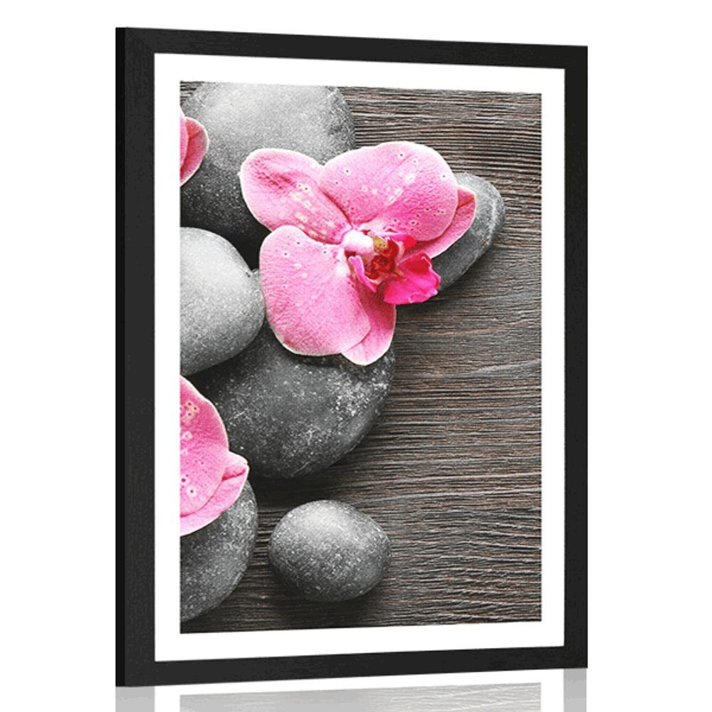 Plagát s paspartou elegantná kompozícia s kvetmi orchidei - 30x45 black