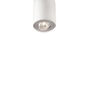 Philips PILLAR SVÍTIDLO BODOVÉ 1x50W 230V 56330/31/PN