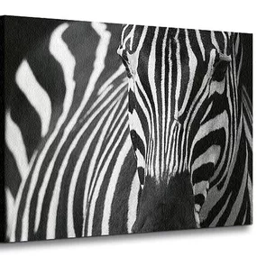 Zebra - Obraz na płótnie CD0524