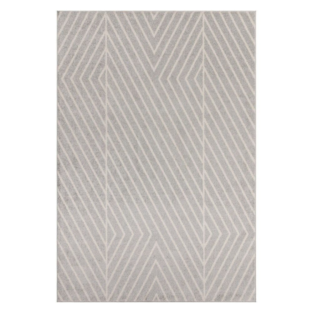 Svetlosivý koberec 160x230 cm Muse – Asiatic Carpets