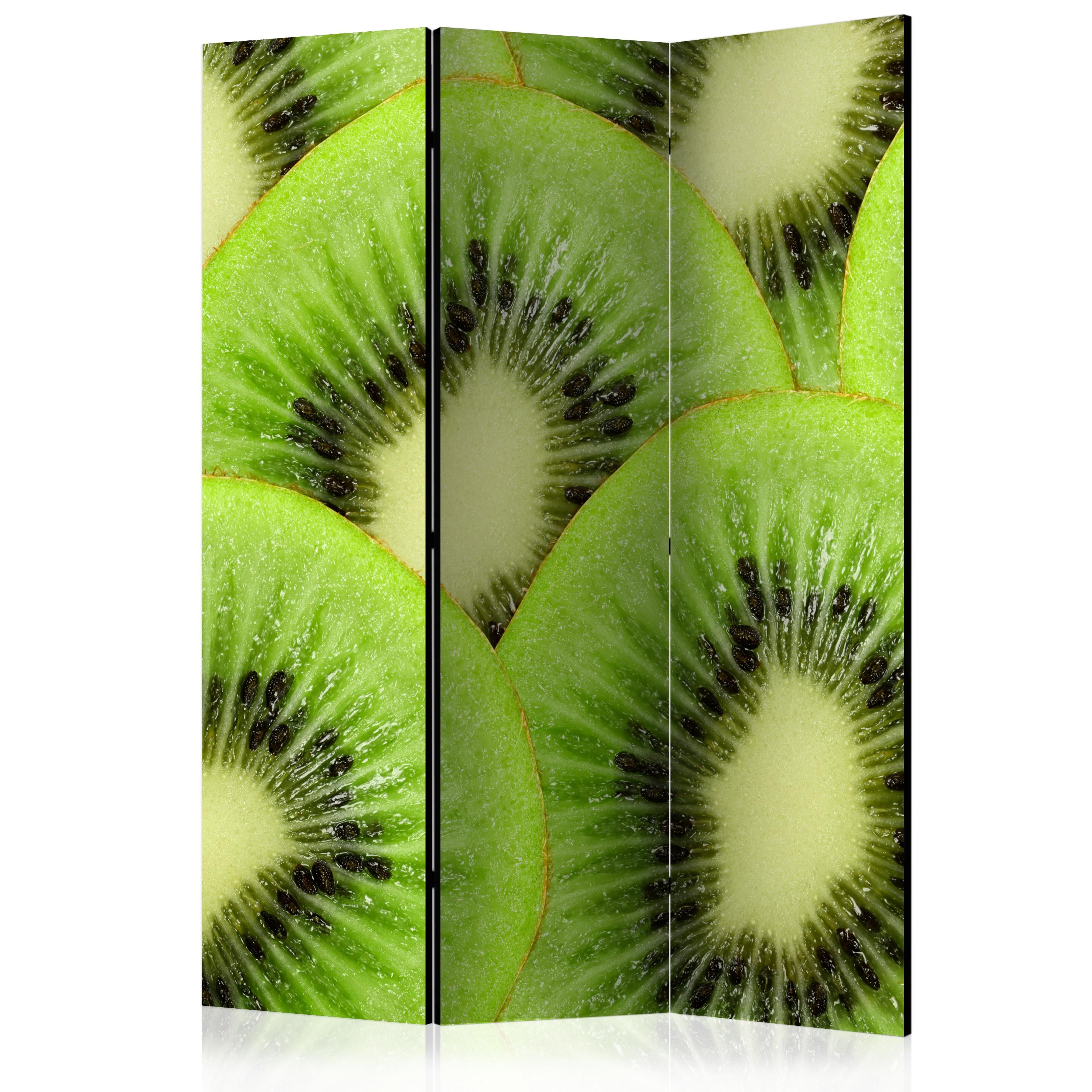 Artgeist Paraván - Kiwi slices [Room Dividers]