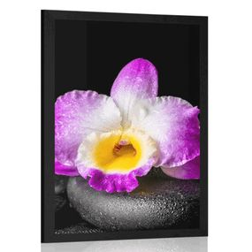 Plagát s paspartou fialová orchidea na Zen kameňoch - 60x90 white